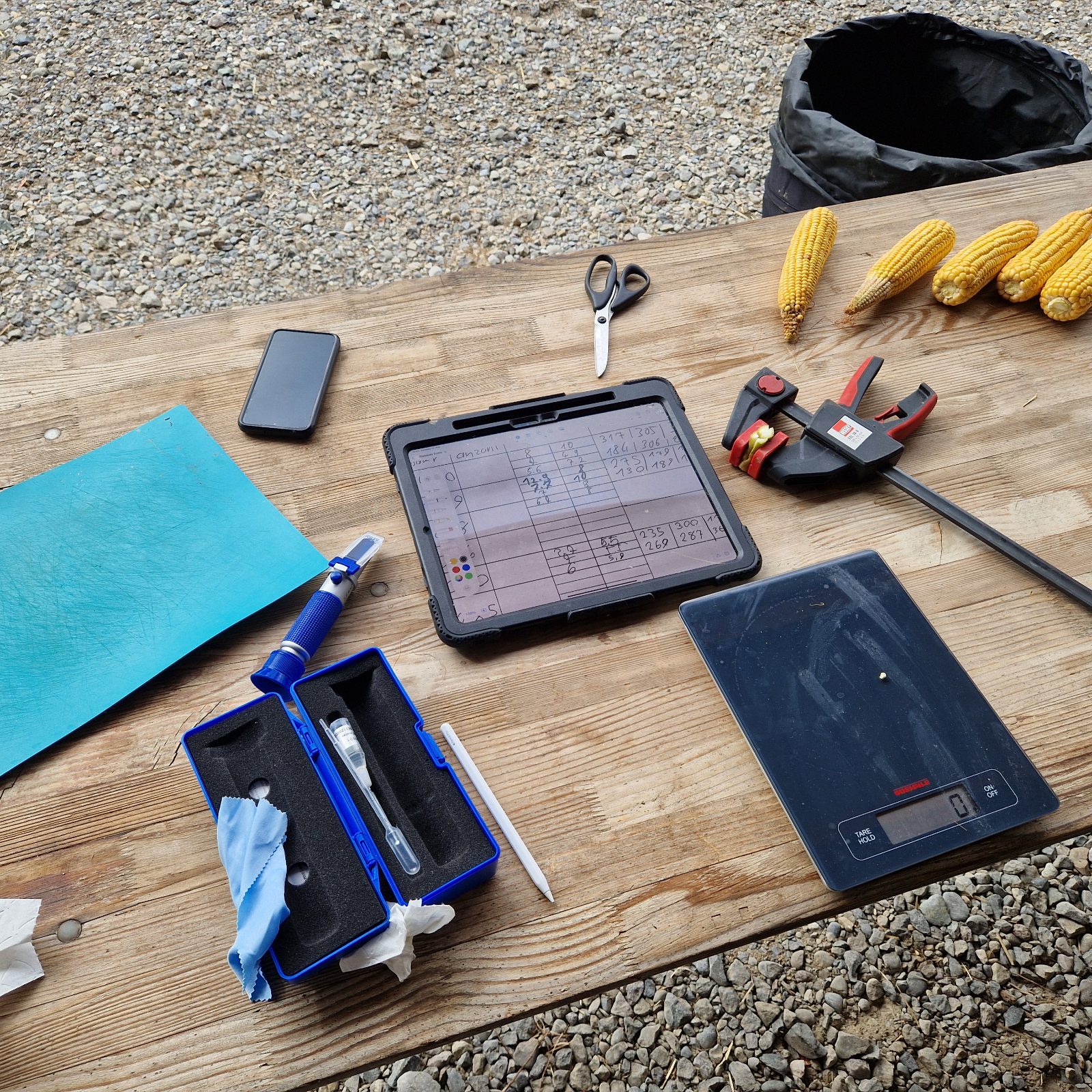 Feldarbeitsplatz mit Refraktometer, Tablet mit Protokoll, Waage, Schere und Maiskolben